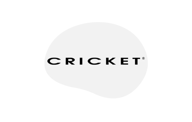 cricket logo case study Thumbnail 1